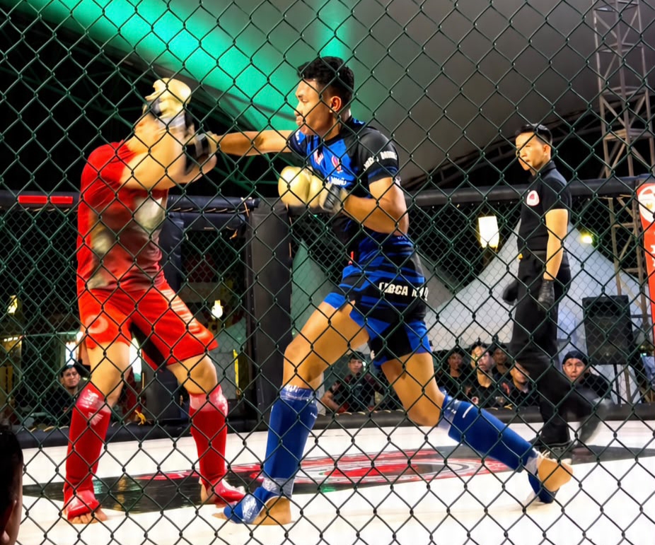 MMA